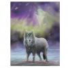 Aurora Canvas Plaque - Anne Stokes