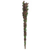 Green Man Wand